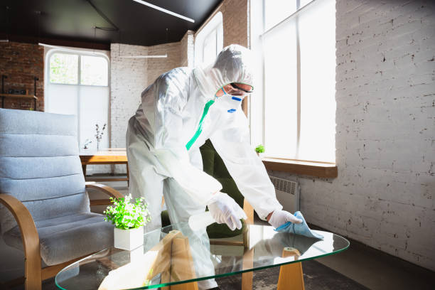 Why You Should Choose Our Mold Remediation Services in Parklawn, CA